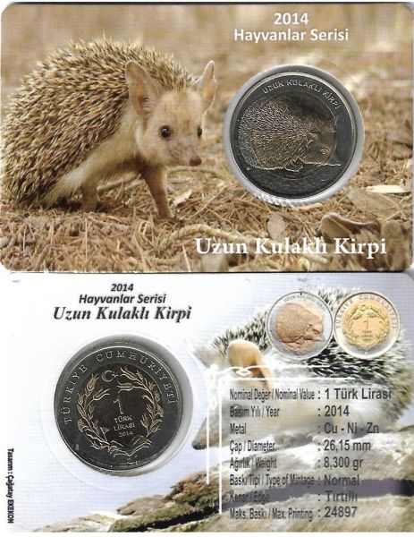 2014 YILI UZUN KULAKLI KİRPİ DARPHANE HATIRA BİMETAL ÇİL ÖZEL RENKLİ KAPAMASINDA